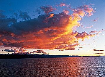 《古币推币机朋友3》登陆Steam 合作肉鸽元素